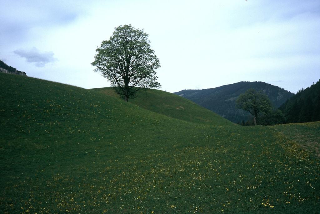 Apartment Obergruberhof *
