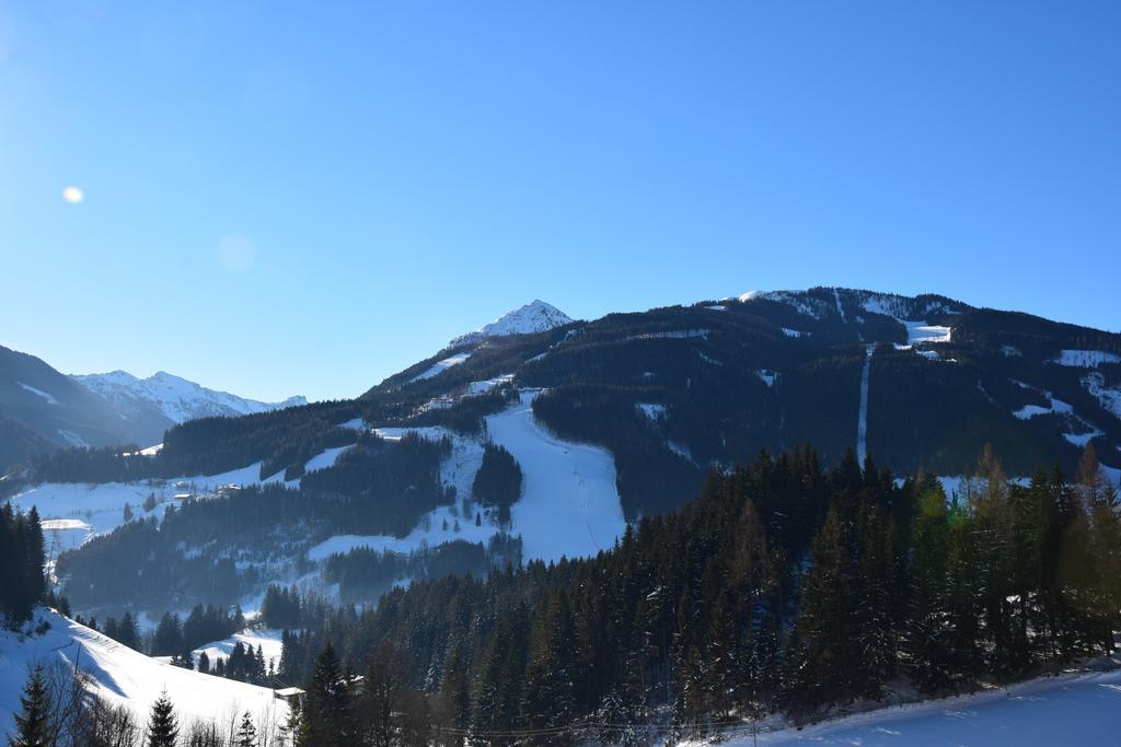 Obergruberhof Apartment Schladming